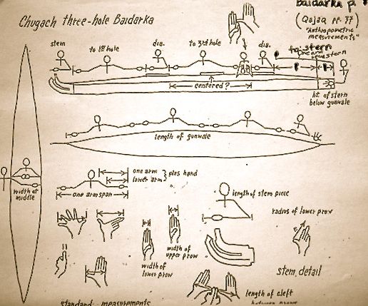 NATIVE-ANTHROPOMETRIC CHART