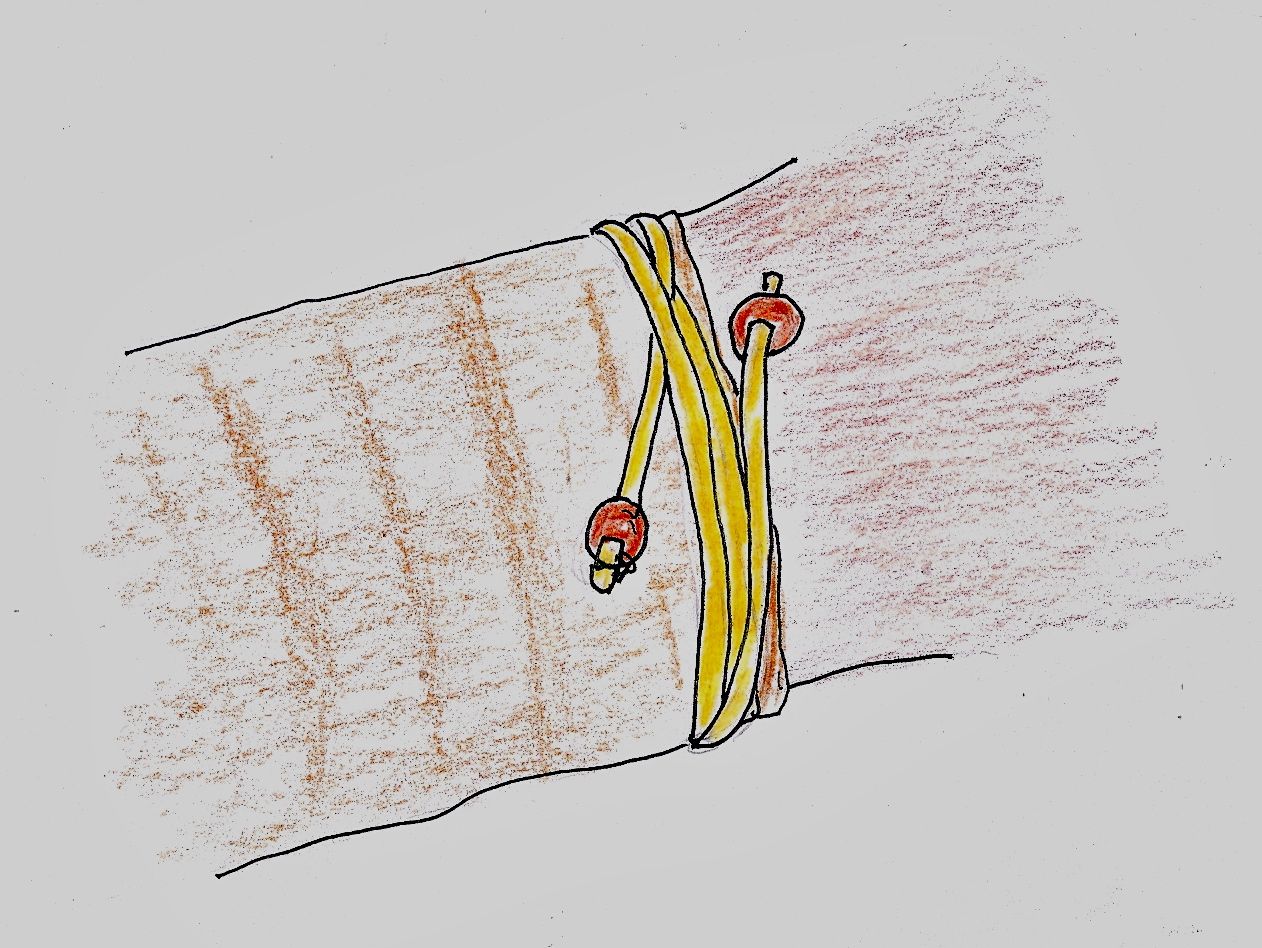 NATIVE-SLEEVE CLOSURE