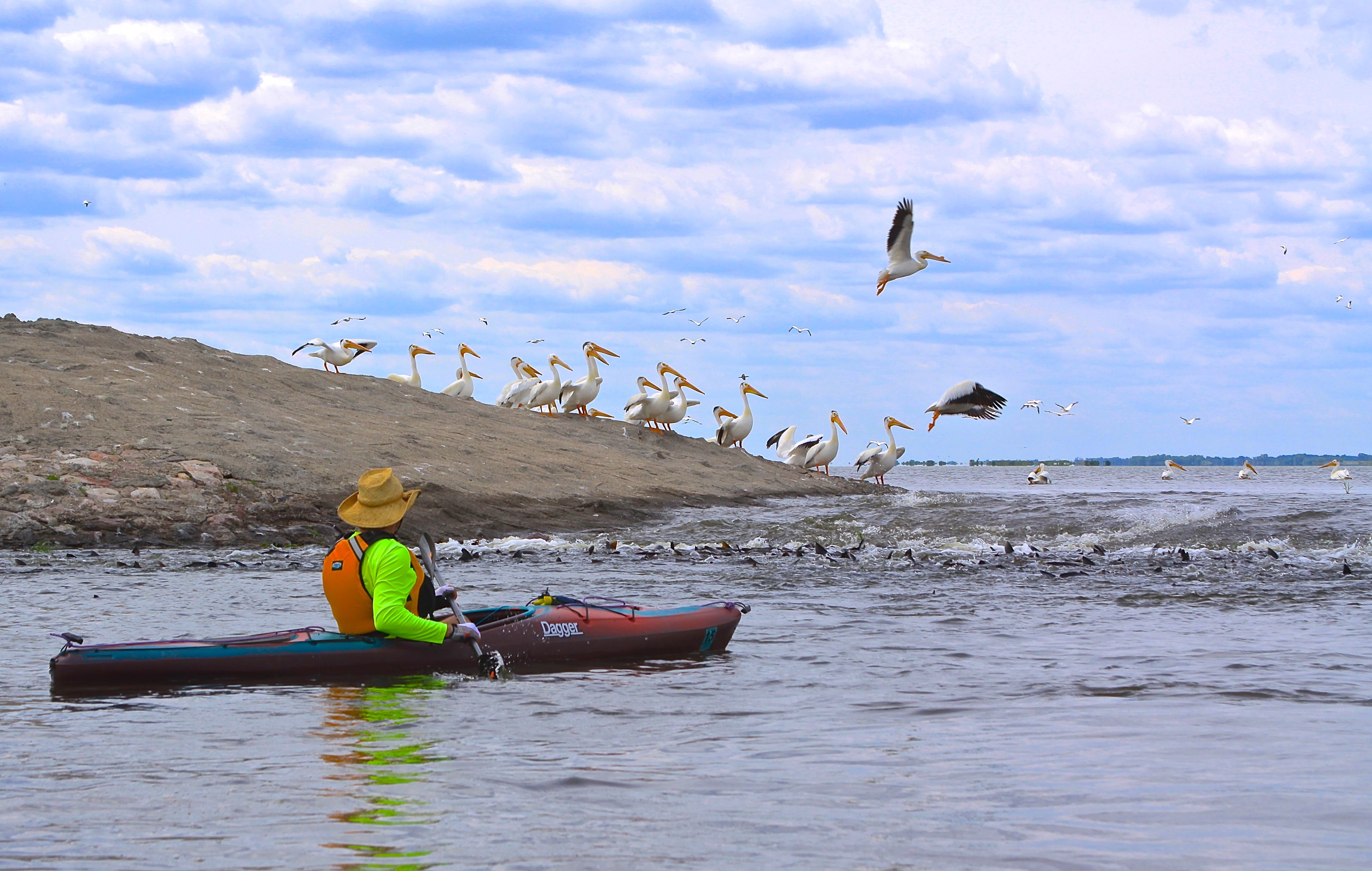SCENIC-KAYAKER AT SPILLWAY