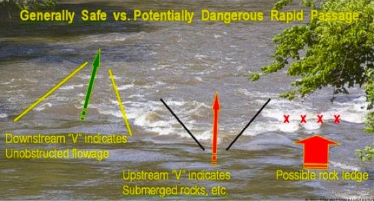 ILLUST-STREAM V SIGNATURES