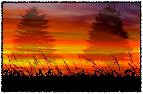 ART-FIRESTORM IN SPRUCE