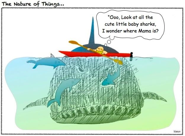 CARTOON-BABY SHARKS AND KAYAKER
