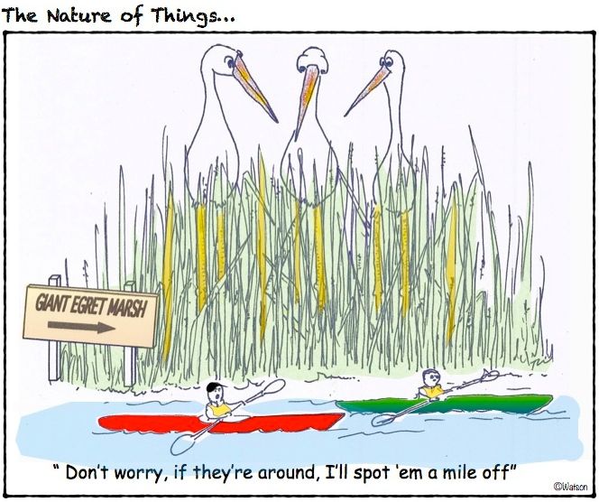 CARTOON-GIANT EGRETS