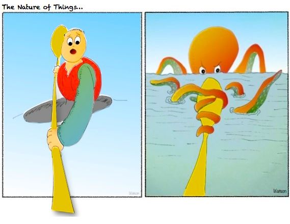CARTOON-KAYAKER-OCTAPUS