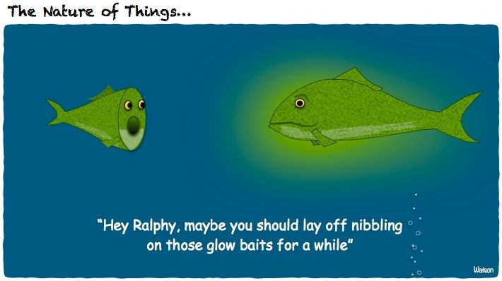 CARTOON-NATURE OF THINGS-GLOWFISH