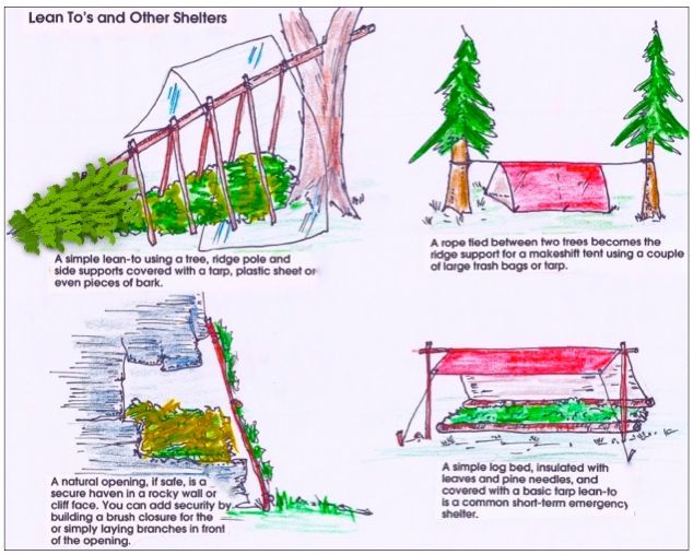 ILLUST-SHELTER TYPES-1