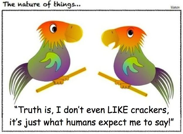 CARTOON-PARROTS-CRACKERS