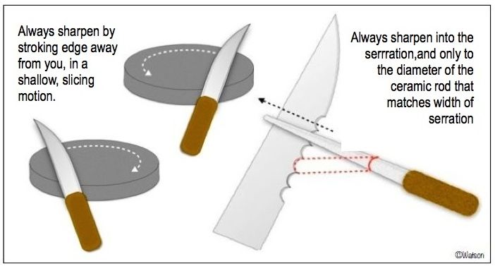 ILLUST-KNIFE SHARENING CIRCULAR-SERRATED