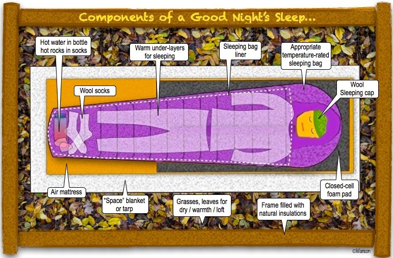 SPRTSMNSGDE18-ILLUST-GOOD NIGHTS SLEEP