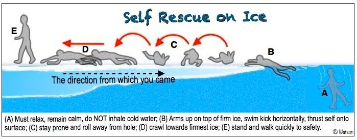 illust-ice rescue-2