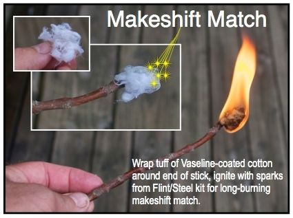 surv-cotton twig match process