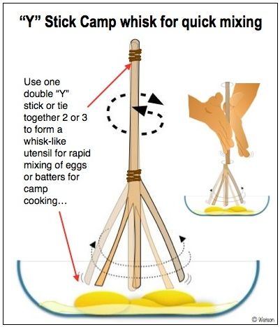 1-ILLUST-CAMP Y-BRANCH WHISK