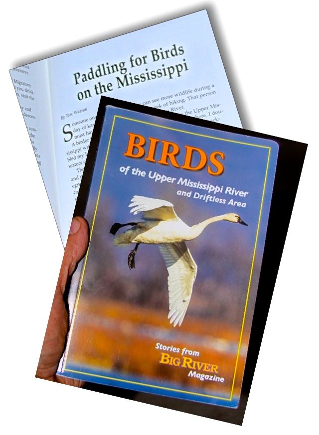 BOOK-BIRDS OF UPPER MISSISSIPPI