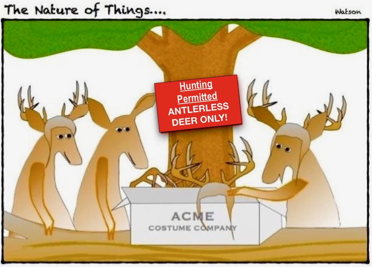CARTOON-ANTLERLESS DEER (1)