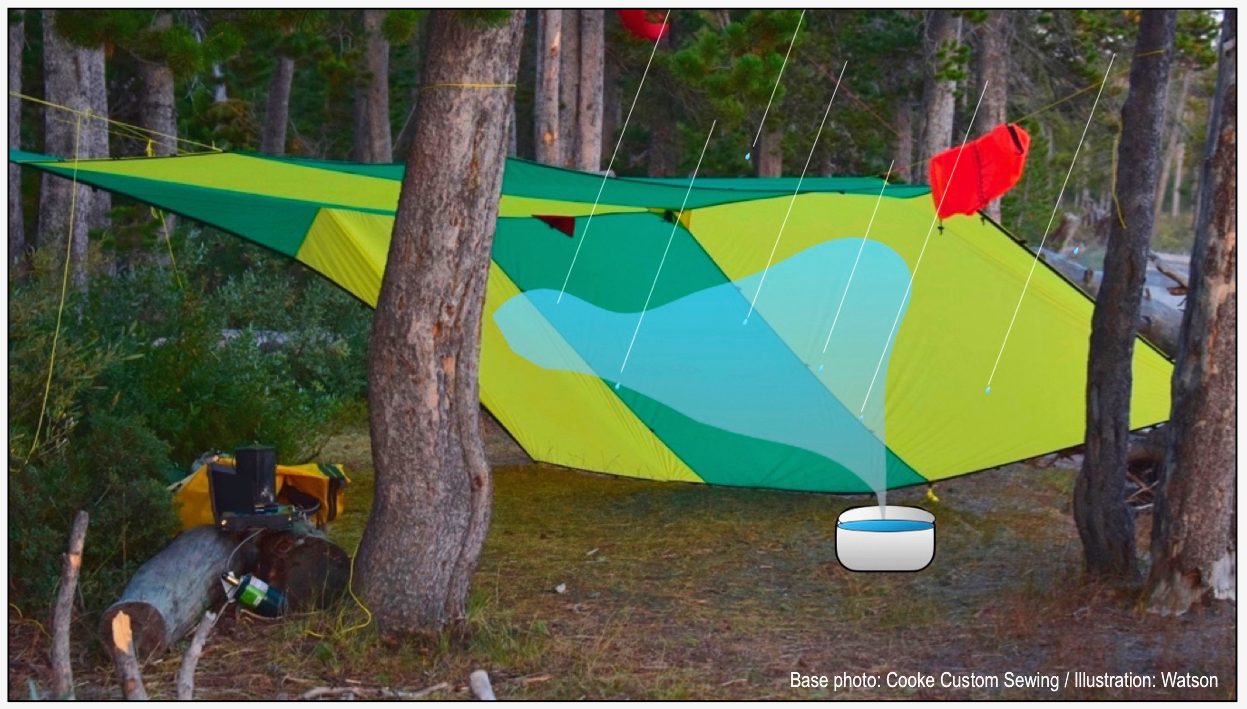 ACTION HUB21-RAIN-PAIN OR GAIN-1